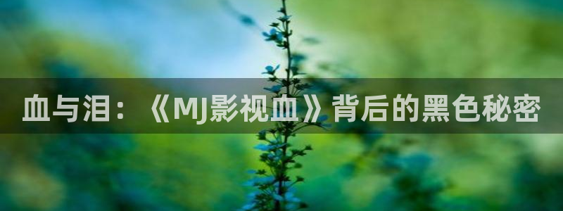 七七影院免费观看电视剧大全：血与泪：《MJ影视血》背后的黑色秘密