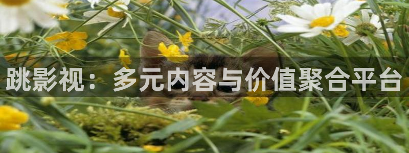 色七七影院在线播放