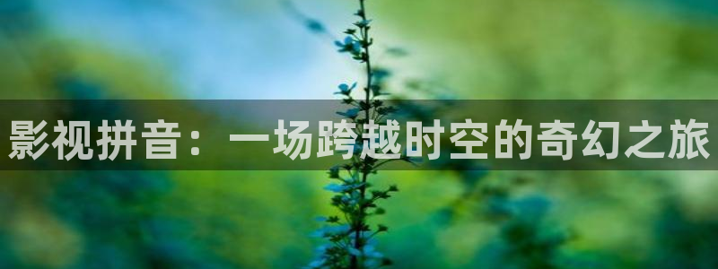 七七影视大全免费追剧app下载最新