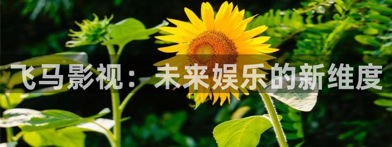 七七影院免费观看电视剧大全