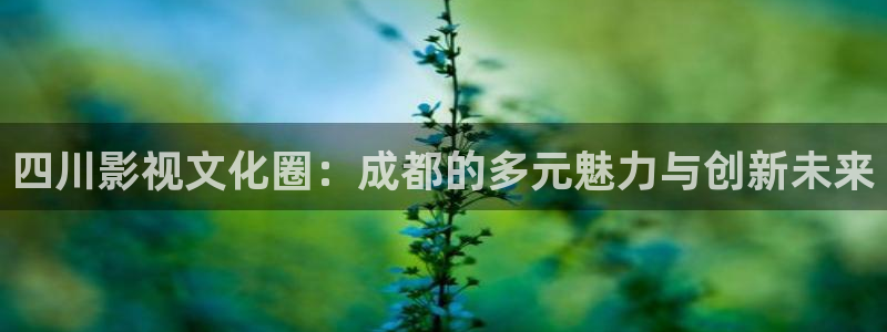 七七影视大全在线播放