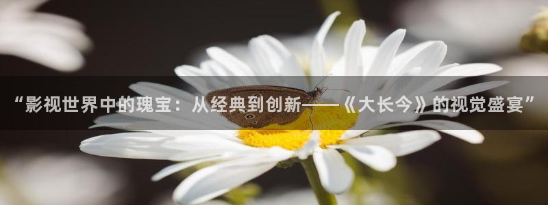 七七影院在线观看